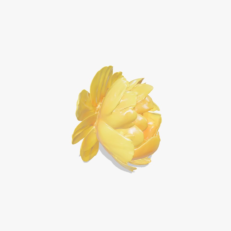 Yellow Peony Sunlit Petals Model Pack